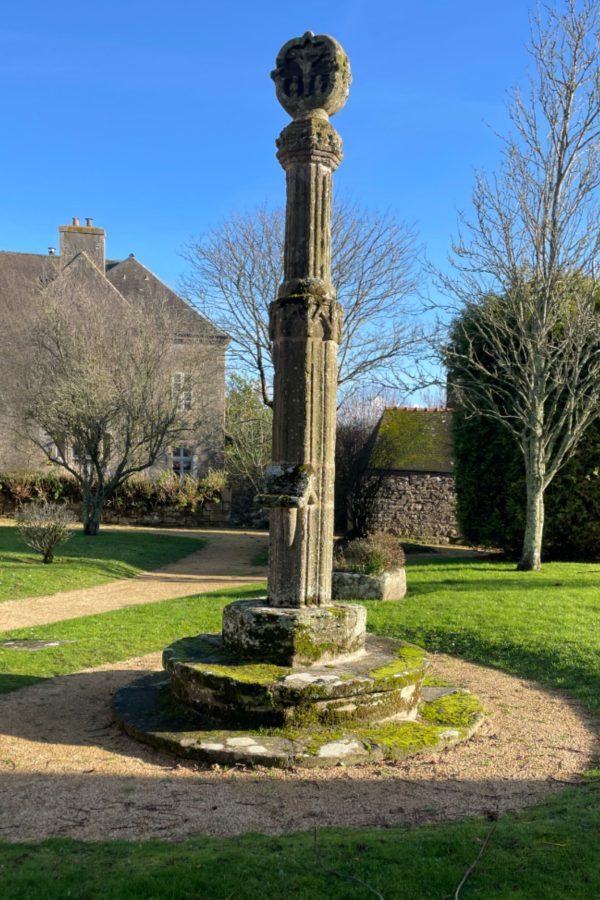 12-Novembre IMG_5129-1