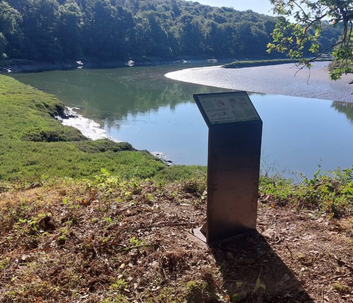 49-PHOTO-2025-07-11-13-34-45 (1)