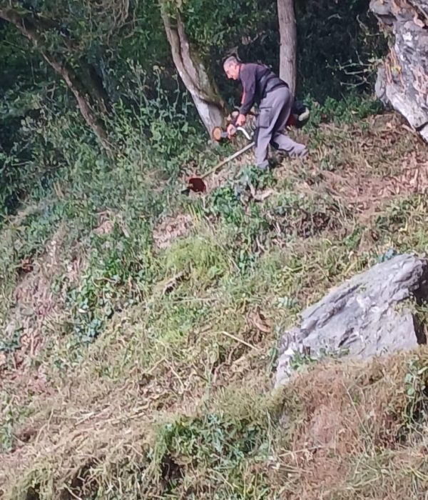 PHOTO-2025-06-27-12-22-12