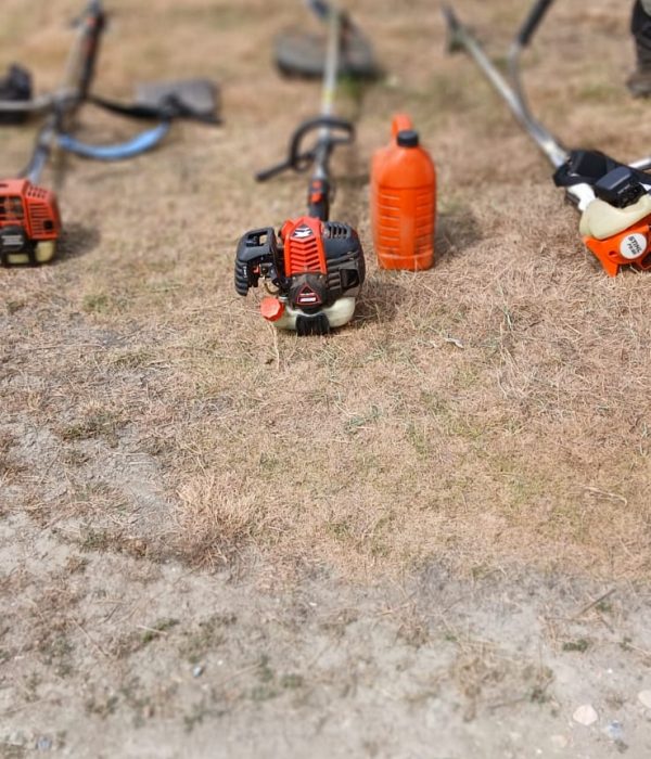 PHOTO-2025-07-18-12-09-53