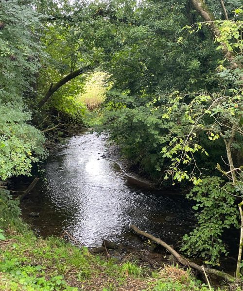 PHOTO-2025-08-30-16-57-09 (1)