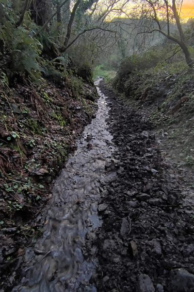 PHOTO-2026-01-31-18-47-01