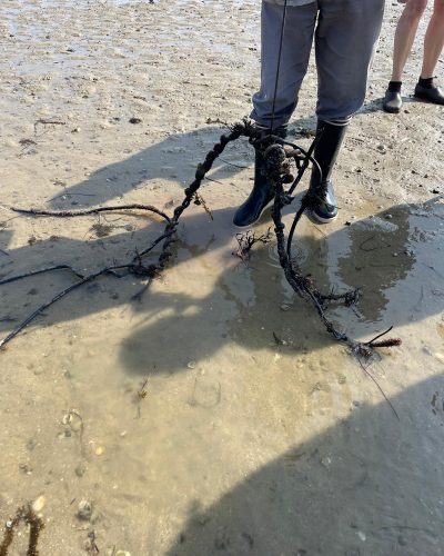 PHOTO-2026-03-21-18-52-39